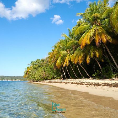 Kawan Nid - Tout Confort, Plage A 2 Min A Pied, Piscine, Wifi, Climatisation Grand-Bourg  Exterior foto